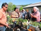 Pflanzentausch 2011 bei der Stockschützenhalle in Friedburg